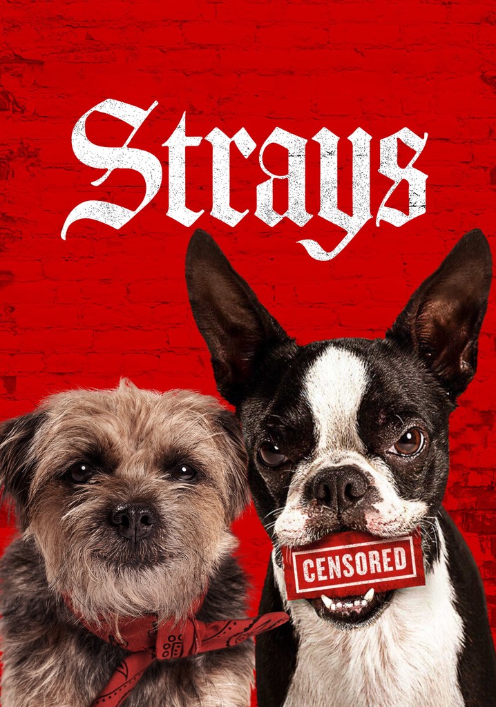 Strays streaming where to watch movie online?